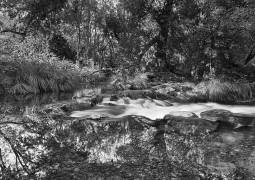 The Weir 