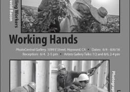 Working Hands Gallery Exhibition